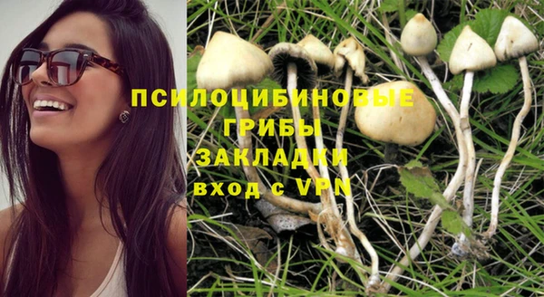 прущий лед Алексин