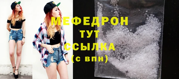 стаф Аркадак