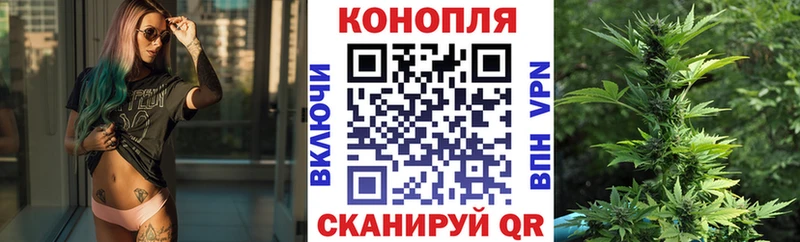 Купить где  Рославль  Канабис конопля 